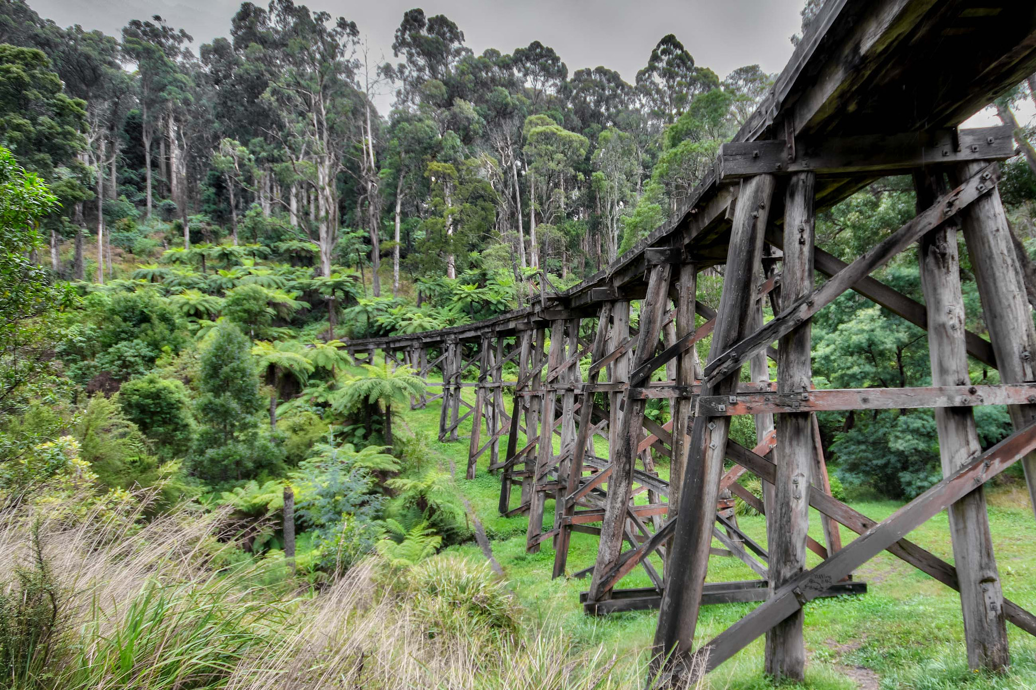 Canon EOS 80D + Sigma 10-20mm F4-5.6 EX DC HSM sample photo. Puffing billy photography