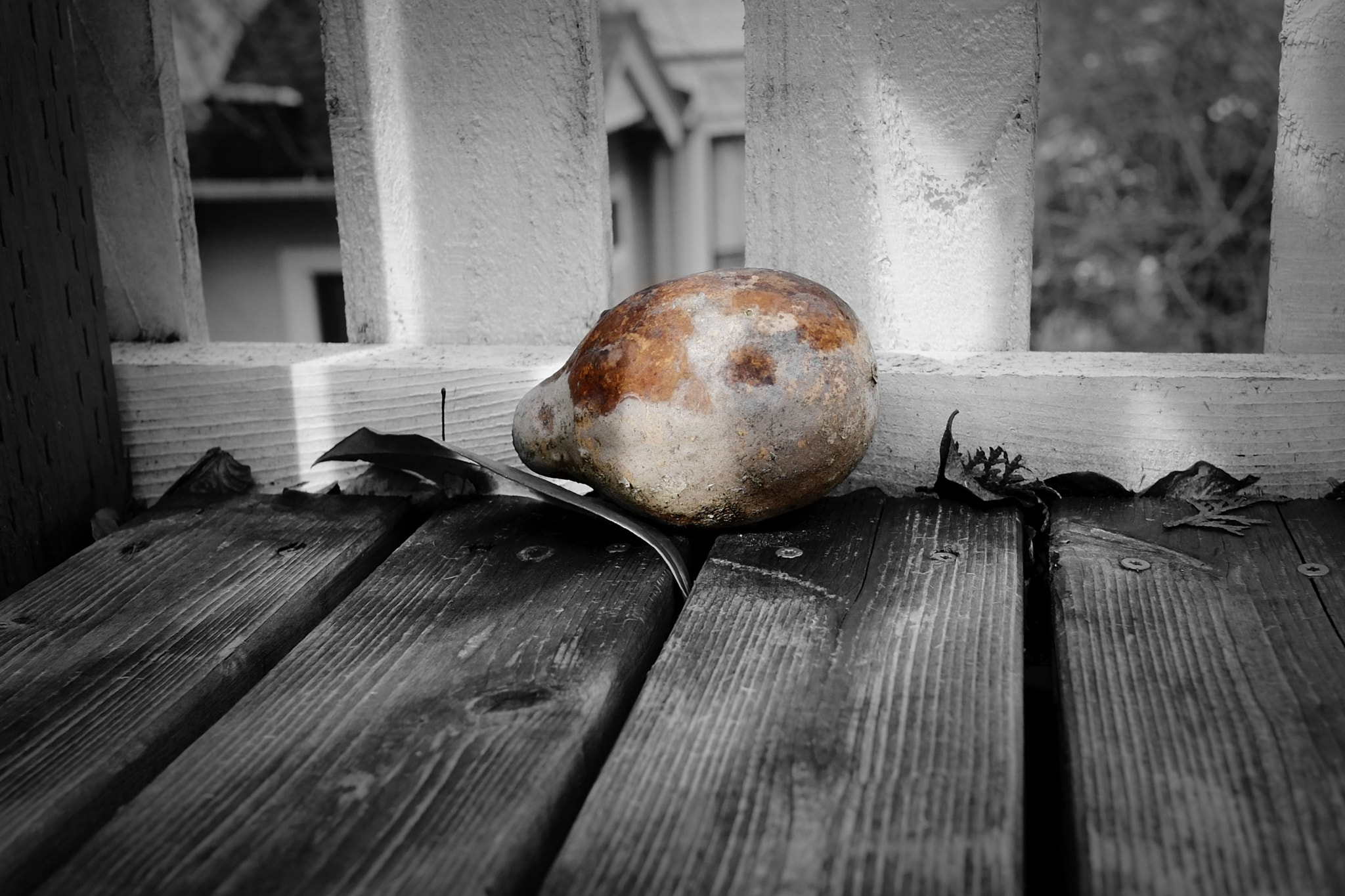 Fujifilm X-Pro1 + Fujifilm XF 18mm F2 R sample photo. The last color of the season photography
