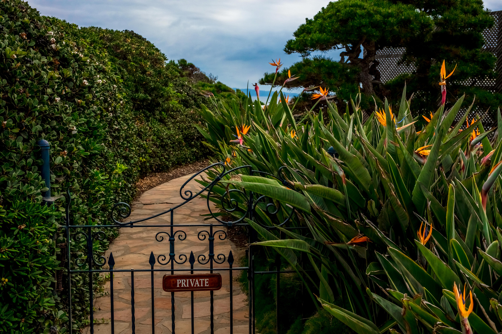 Sigma 50mm F1.4 EX DG HSM sample photo. The gate to the enchanted place photography