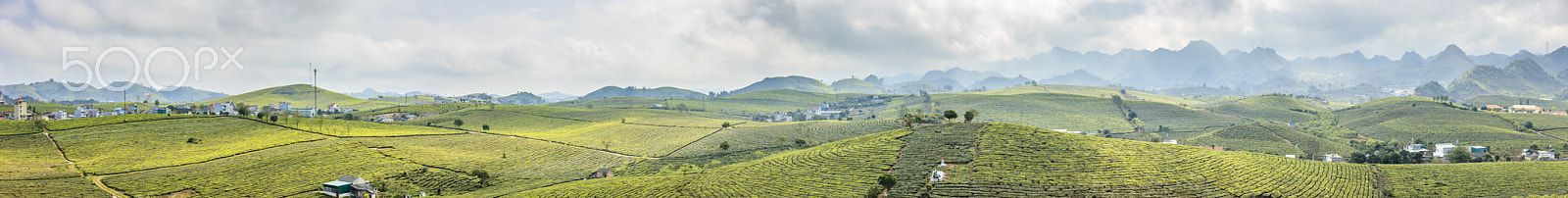 Canon EOS-1Ds Mark III sample photo. Moc chau district in morning photography