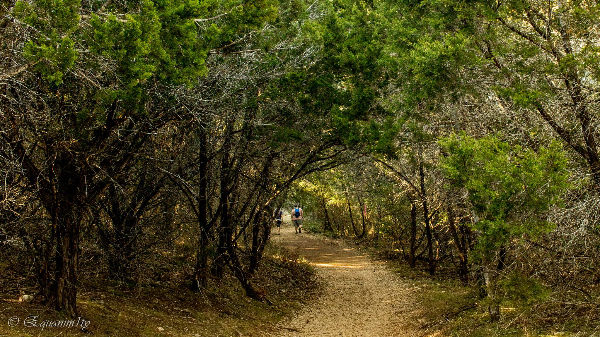 Canon EF-S 24mm F2.8 STM sample photo. Hikers and nature photography