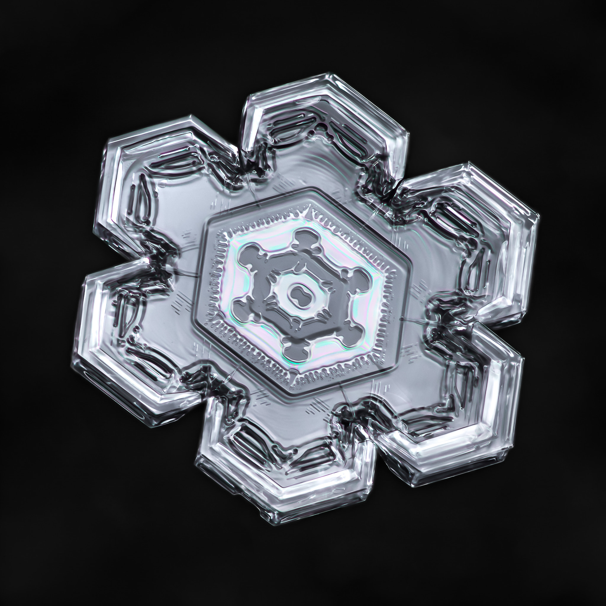Canon MP-E 65mm F2.5 1-5x Macro Photo sample photo. Snowflake-a-day #54 photography