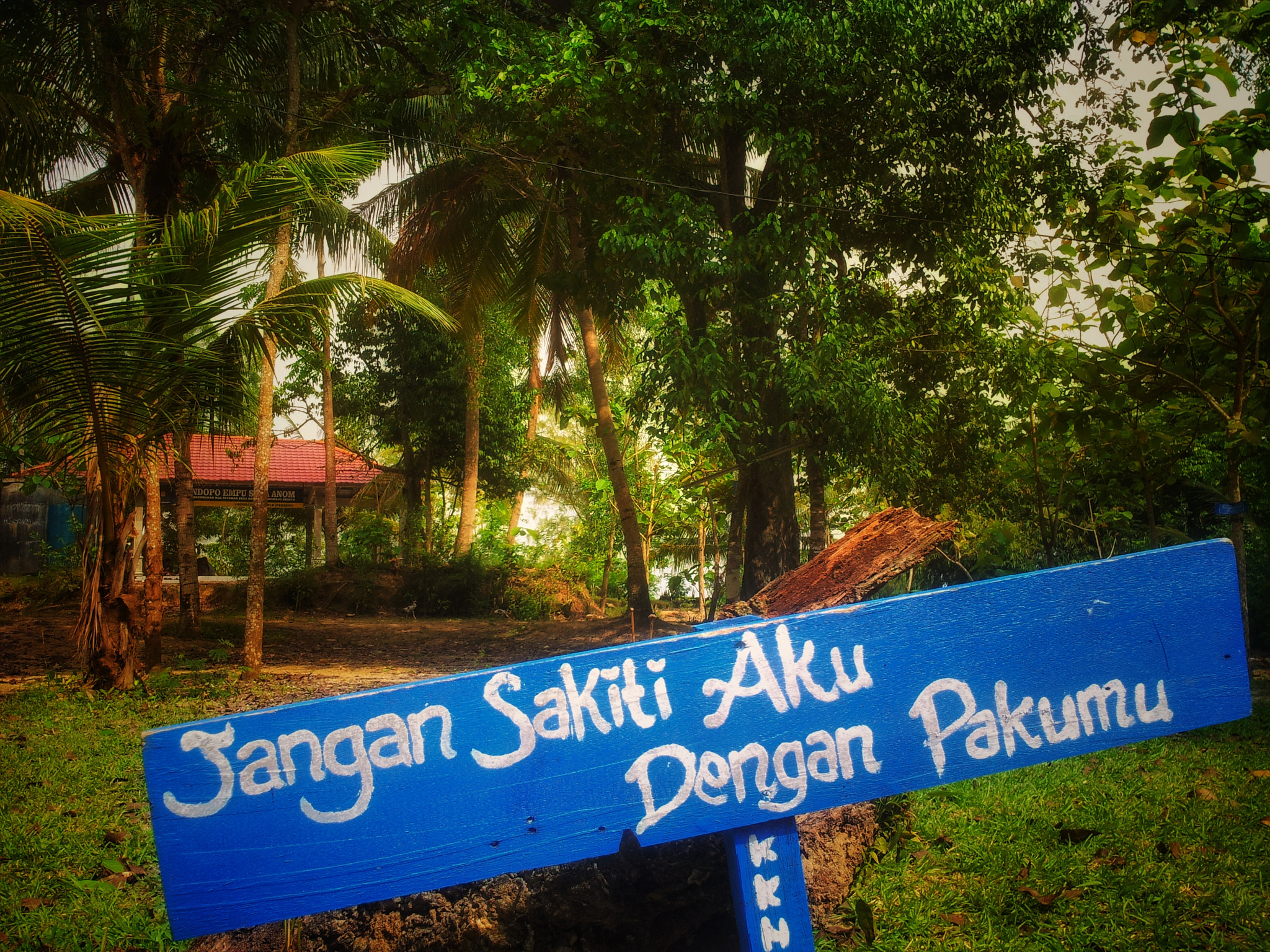 Samsung Galaxy Note sample photo