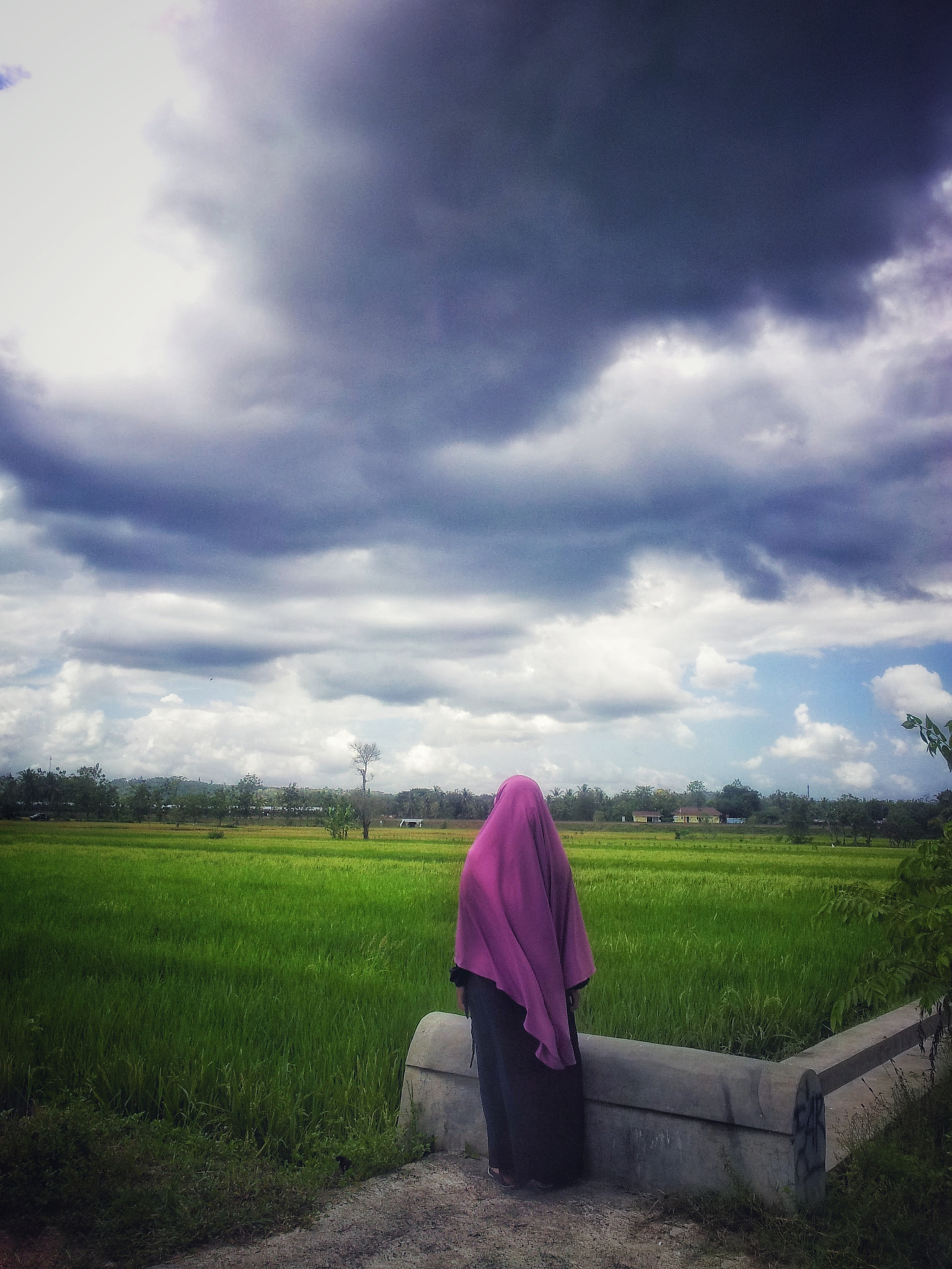Samsung Galaxy Note sample photo
