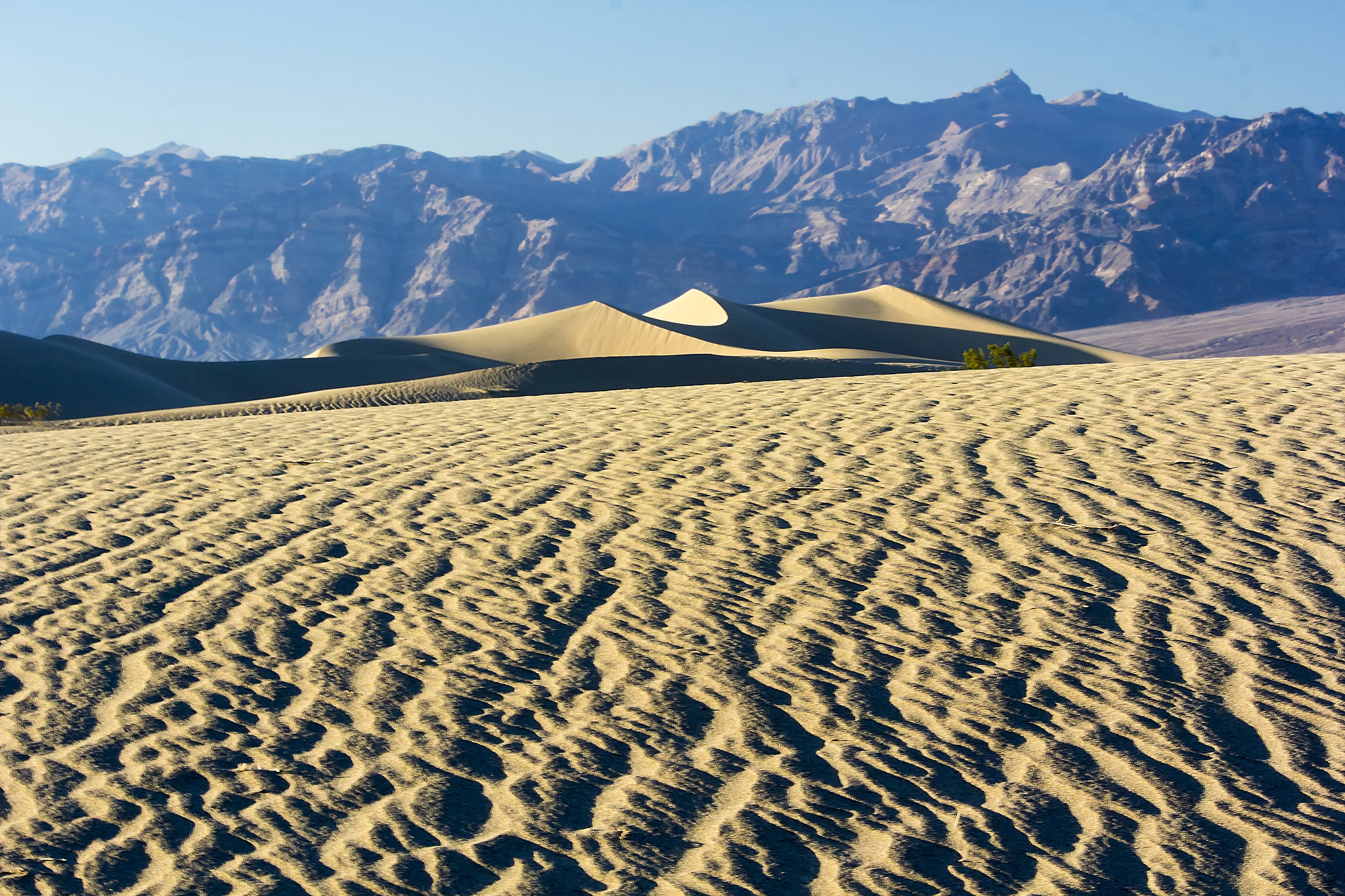 Canon EOS 60D sample photo. Death valley sand dunes photography