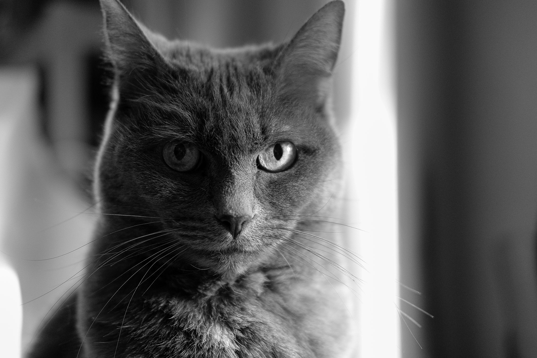 Fujifilm X-E2 + Fujifilm XF 35mm F2 R WR sample photo. Joon photography