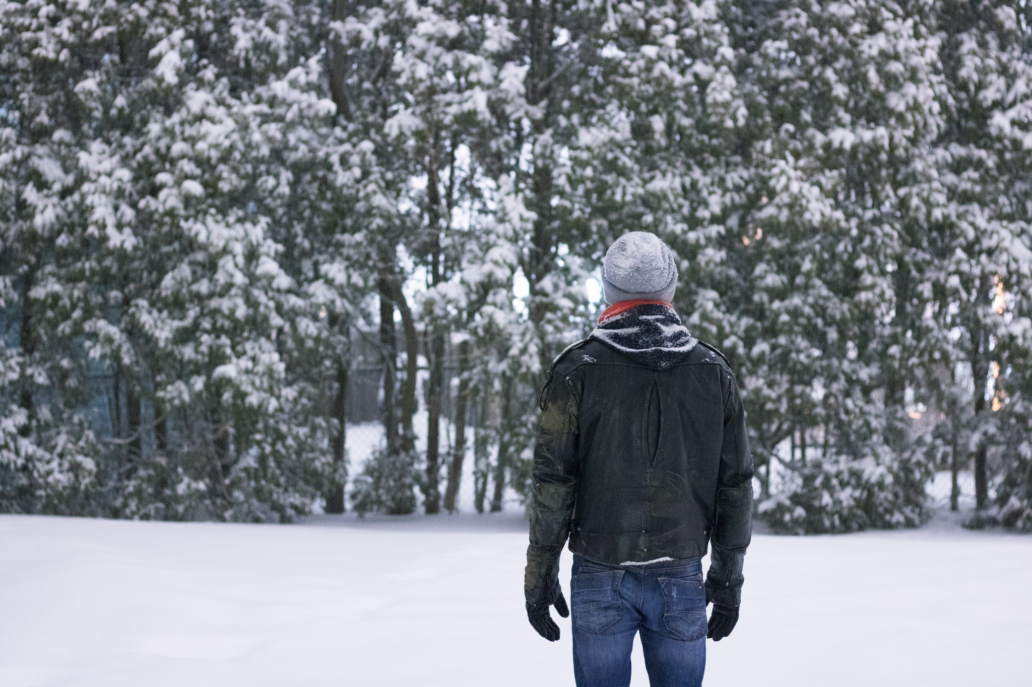 Canon EOS 760D (EOS Rebel T6s / EOS 8000D) sample photo. Winter photography