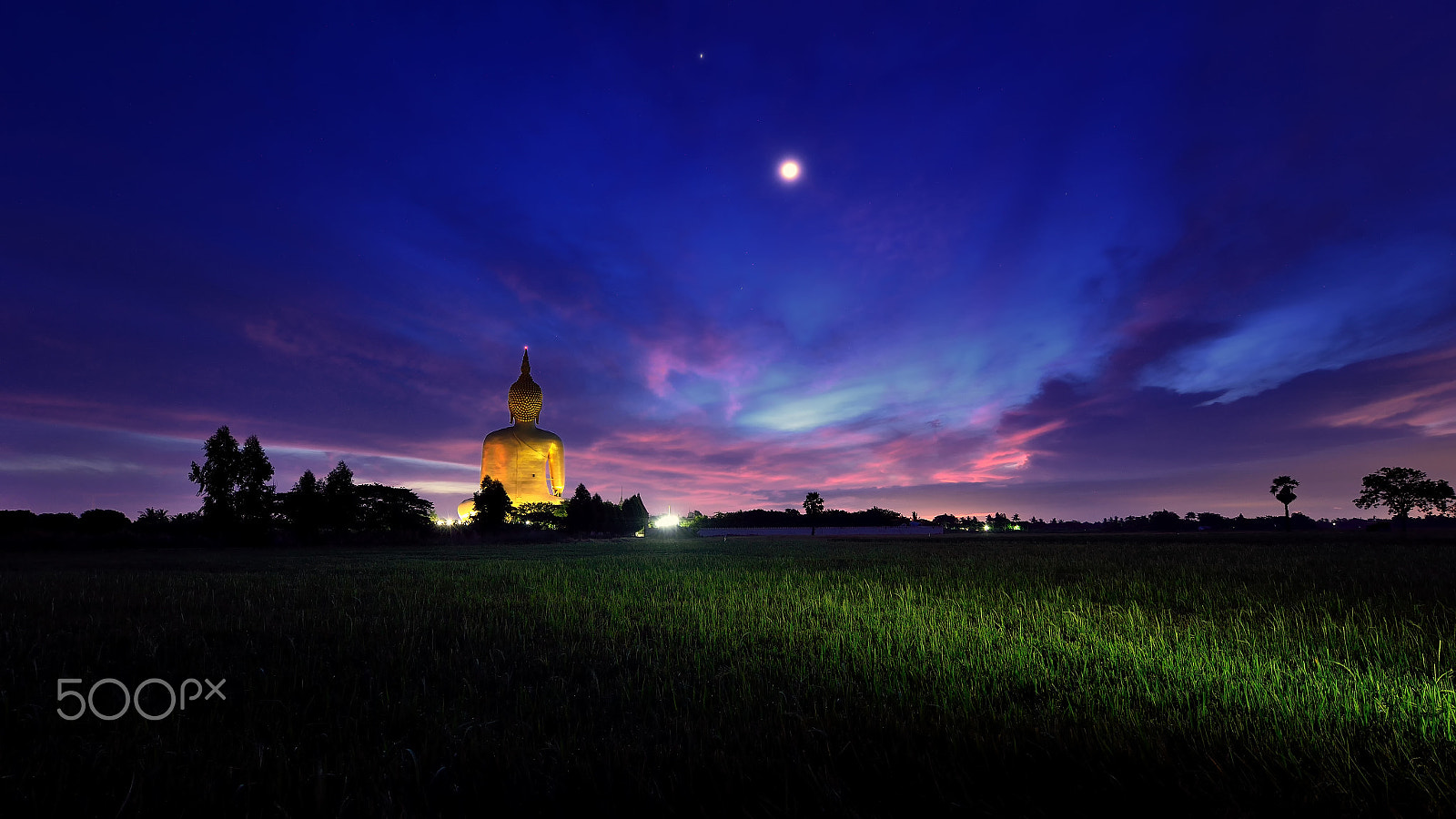 Nikon AF-S Nikkor 14-24mm F2.8G ED sample photo. Big buddha photography
