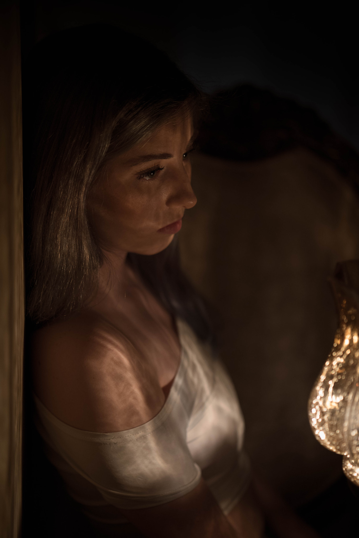 ZEISS Batis 85mm F1.8 sample photo. Lamp light photography