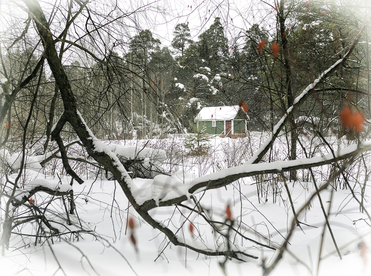 Nikon D7000 + Nikon AF-S Nikkor 28mm F1.8G sample photo. Заречный парк photography