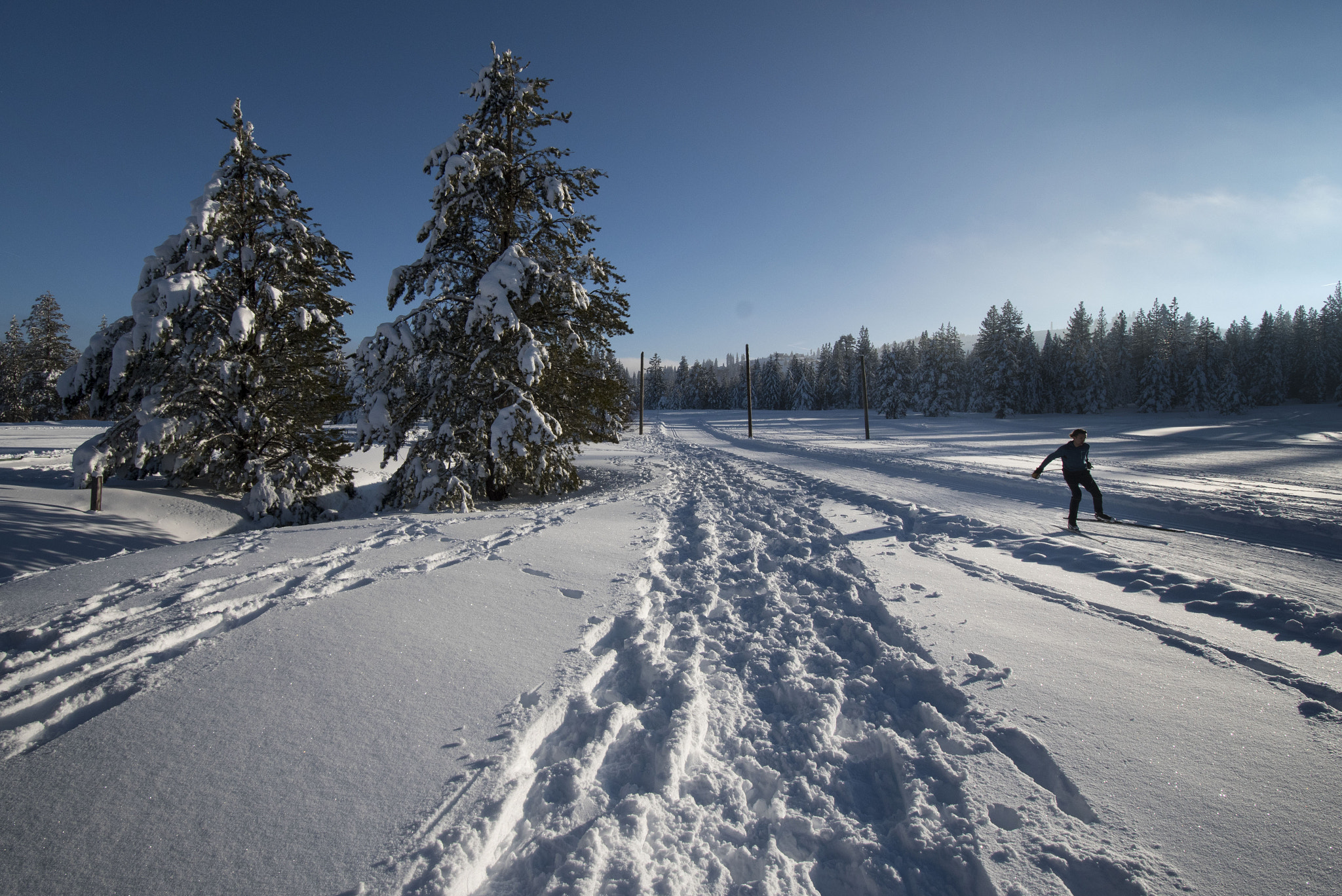 Nikon D5500 sample photo. Skier photography