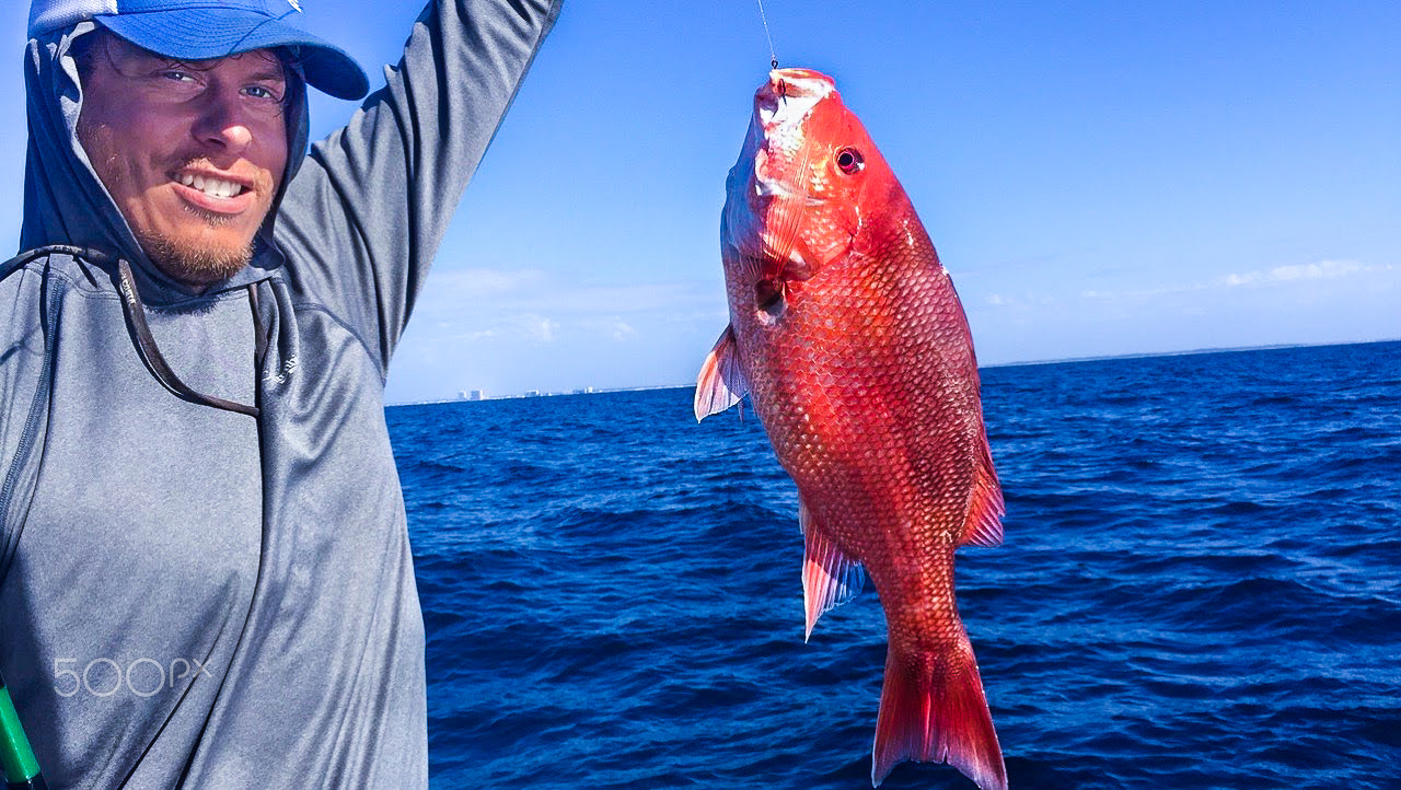 Florida Red Snapper