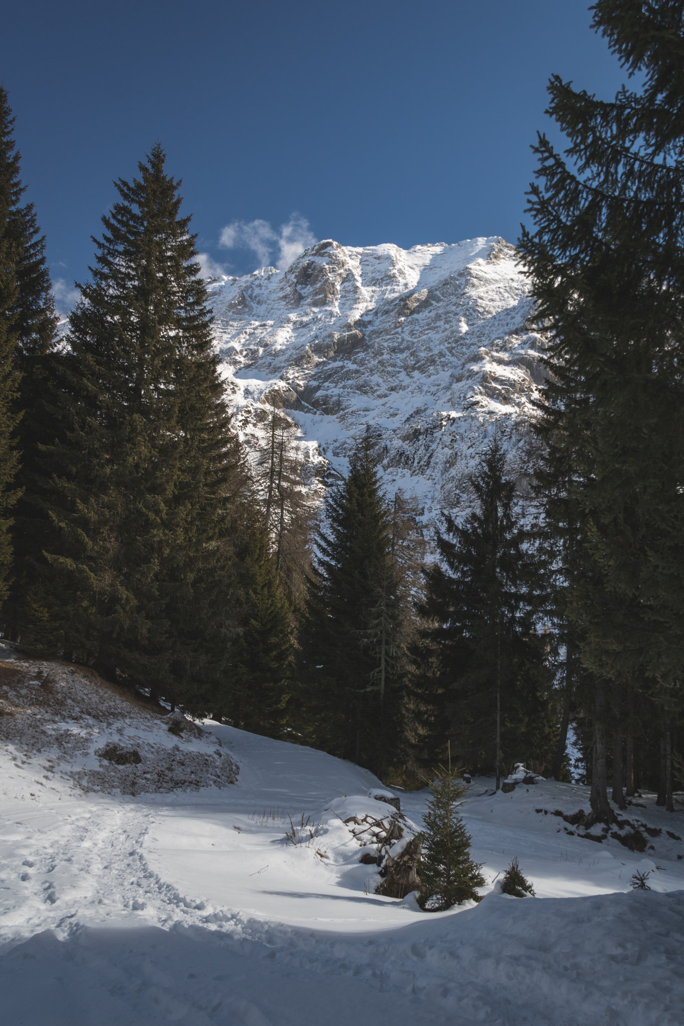 Canon EOS 760D (EOS Rebel T6s / EOS 8000D) sample photo. Snowy paths and scenic views photography