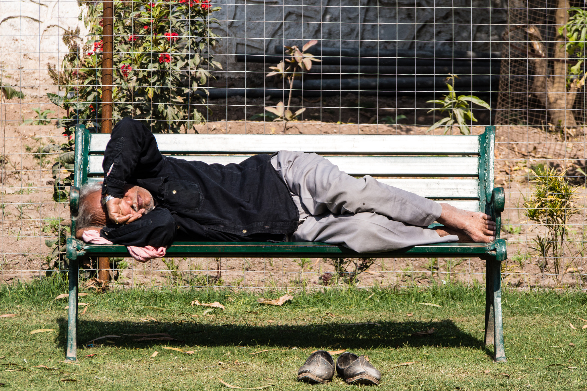 Olympus OM-D E-M5 sample photo. Take a nap in the park photography