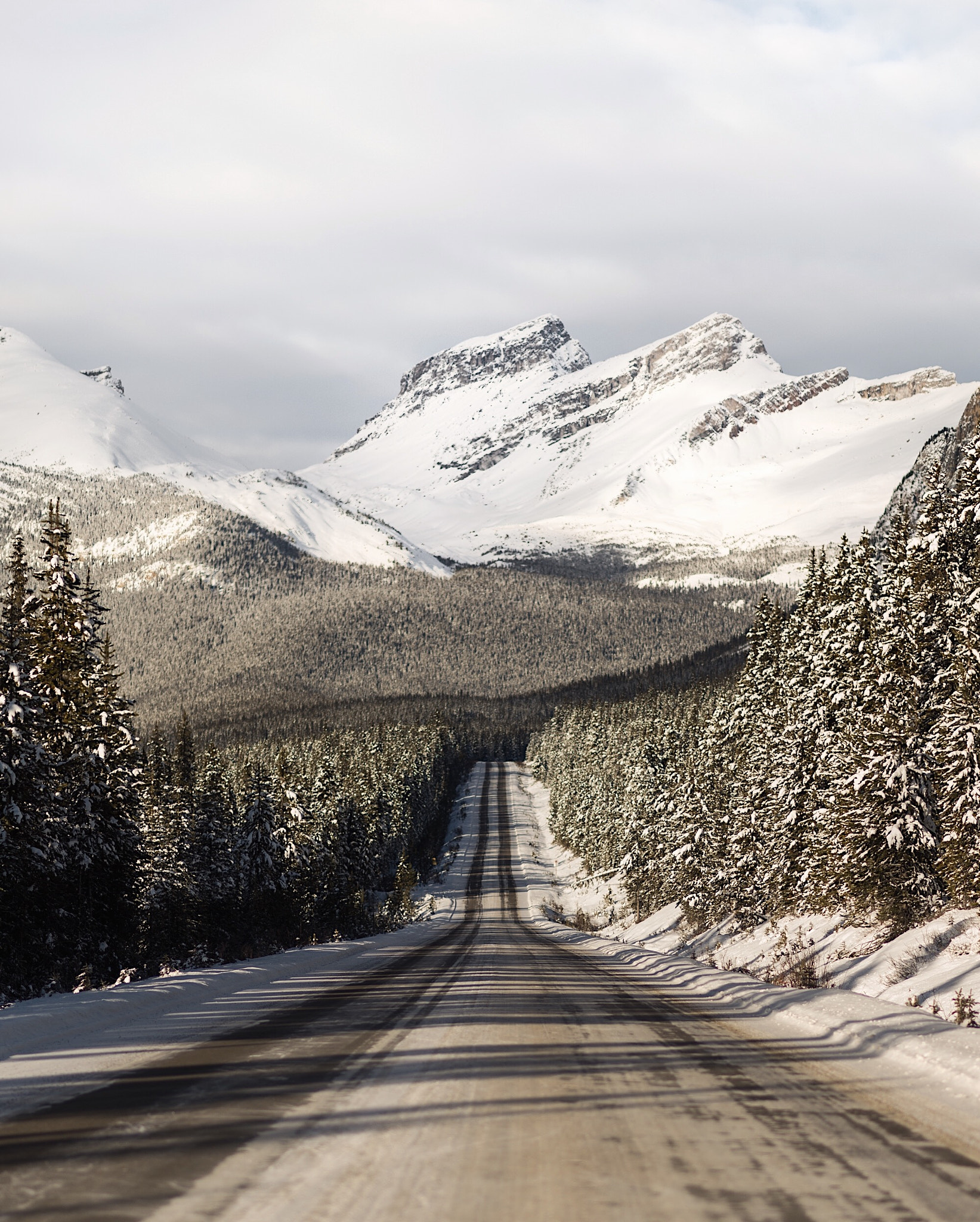 Nikon D4 sample photo. Icefields parkway. banff. alberta. photography