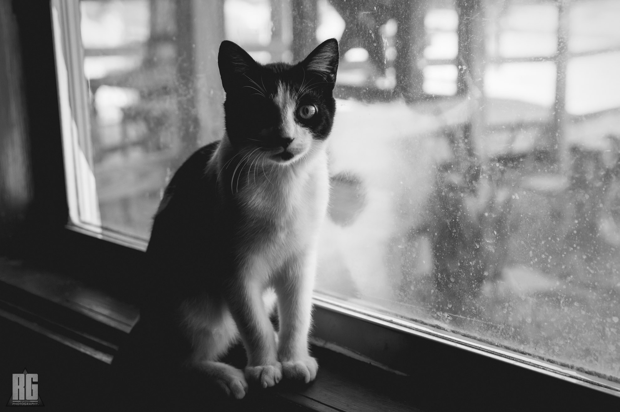 Nikon D3200 sample photo. Slady photography