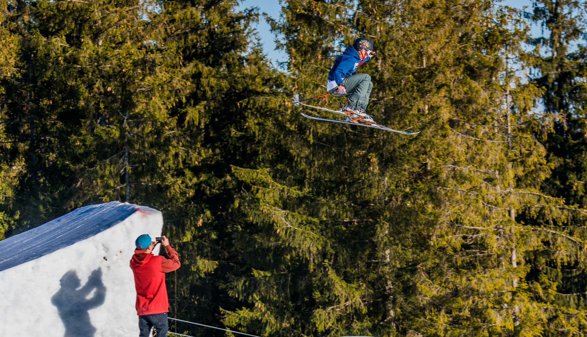 Nikon D750 + Sigma 50mm F2.8 EX DG Macro sample photo. Those who don't jump will never fly. photography