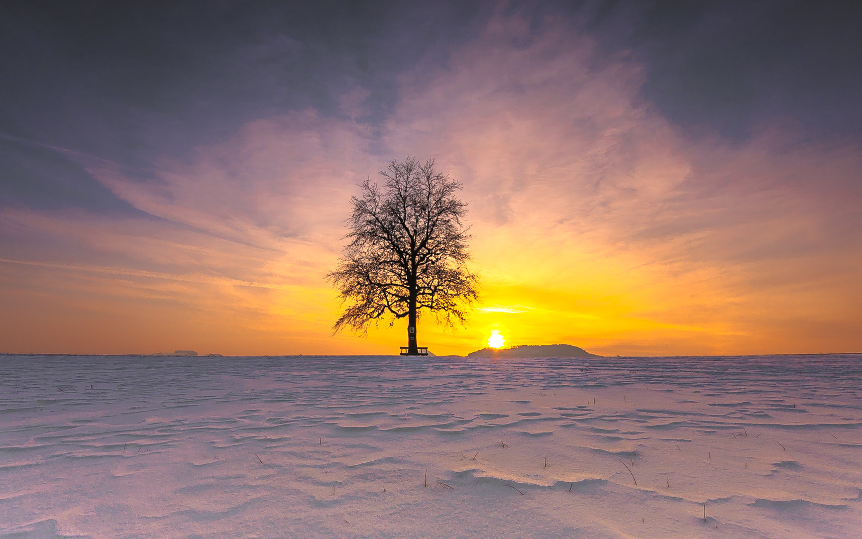 Canon EOS 40D + Sigma 10-20mm F4-5.6 EX DC HSM sample photo. Einsamer baum photography