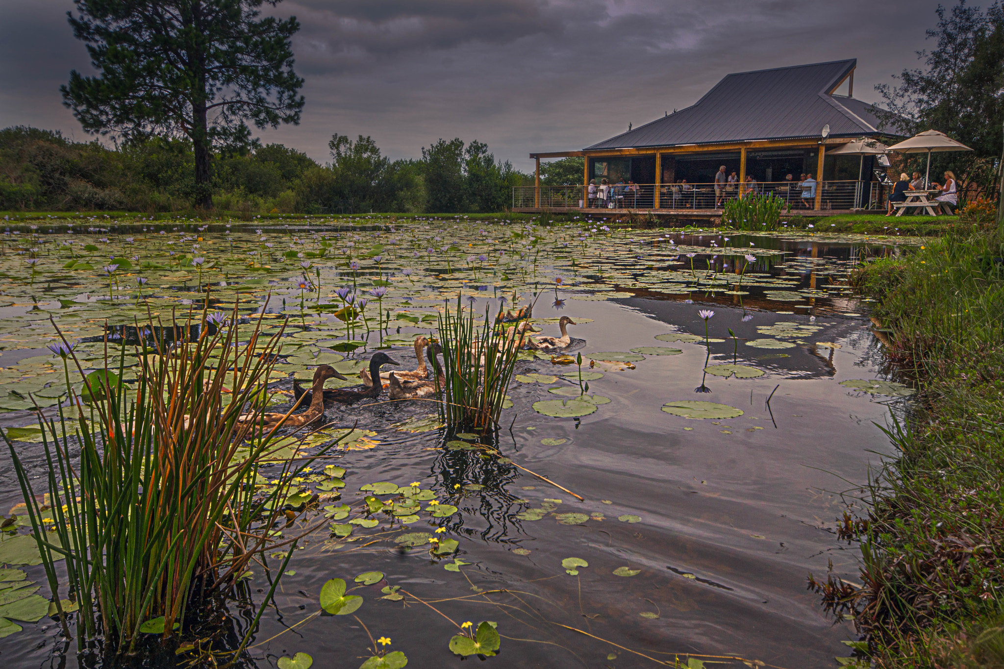 Sigma AF 10-20mm F4-5.6 EX DC sample photo. Lodestone photography