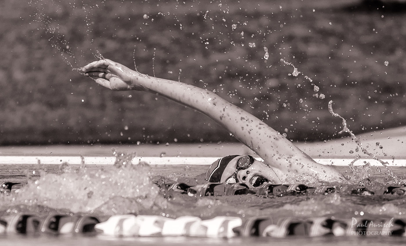 Nikon AF-S Nikkor 70-200mm F4G ED VR sample photo. The freestyler photography