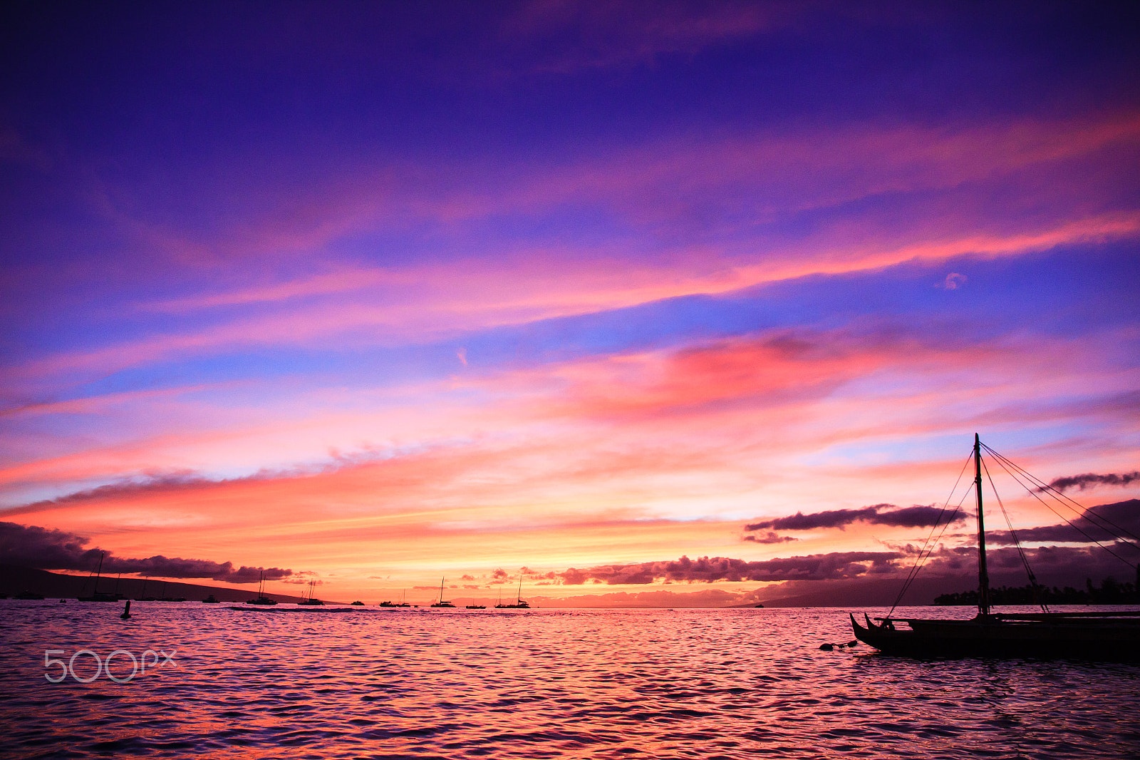 Canon EOS 550D (EOS Rebel T2i / EOS Kiss X4) sample photo. Colorful paradise photography