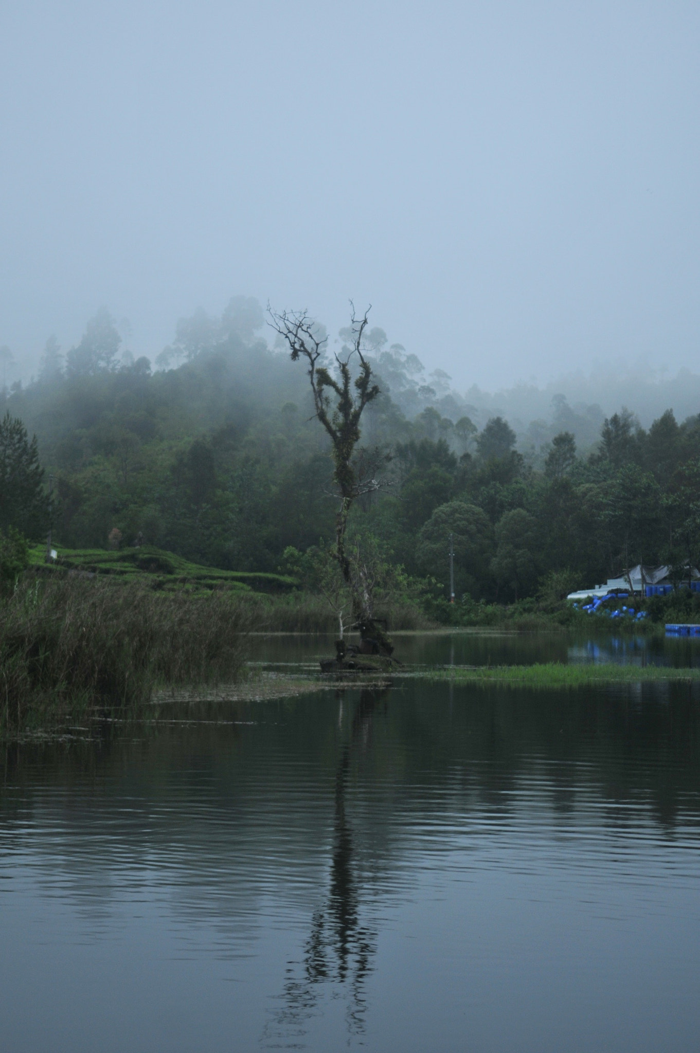 Nikon D300S sample photo