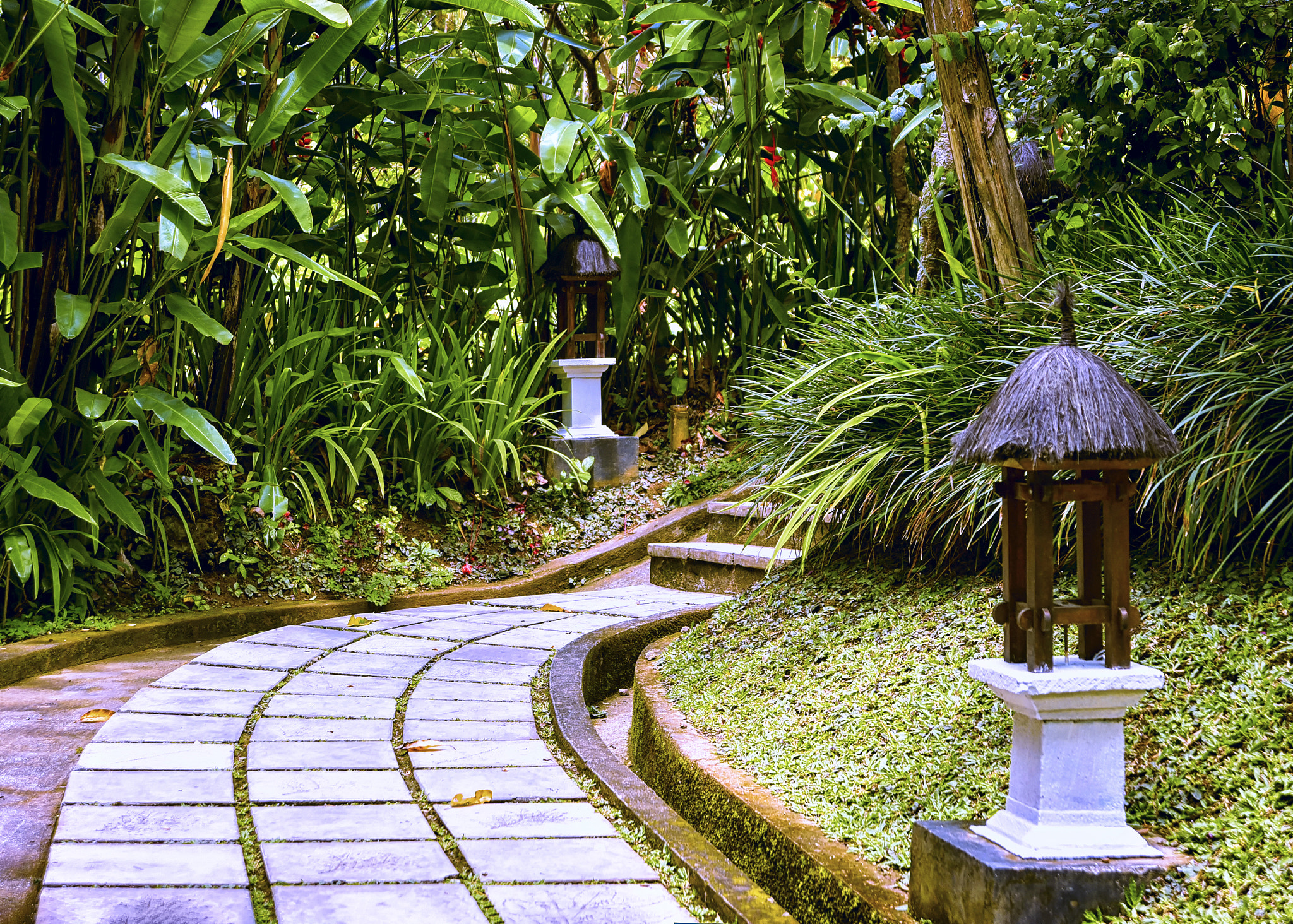 Nikon AF Nikkor 24-85mm F2.8-4D IF sample photo. Бали photography