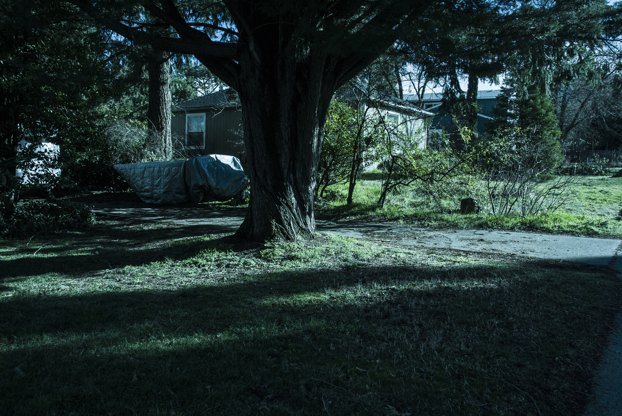 Nikon D3000 sample photo. Umbrage photography
