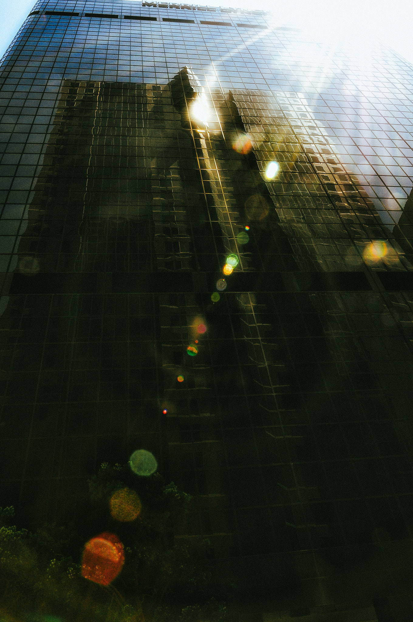 Nikon D300 sample photo. Reflections photography