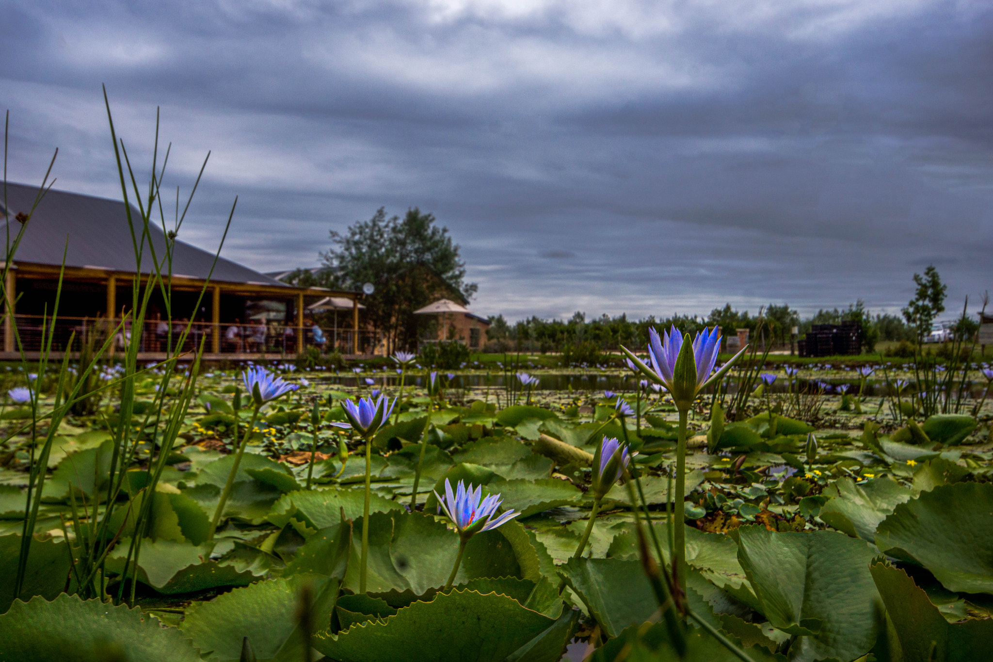 Sigma AF 10-20mm F4-5.6 EX DC sample photo. Lodestone 2 photography