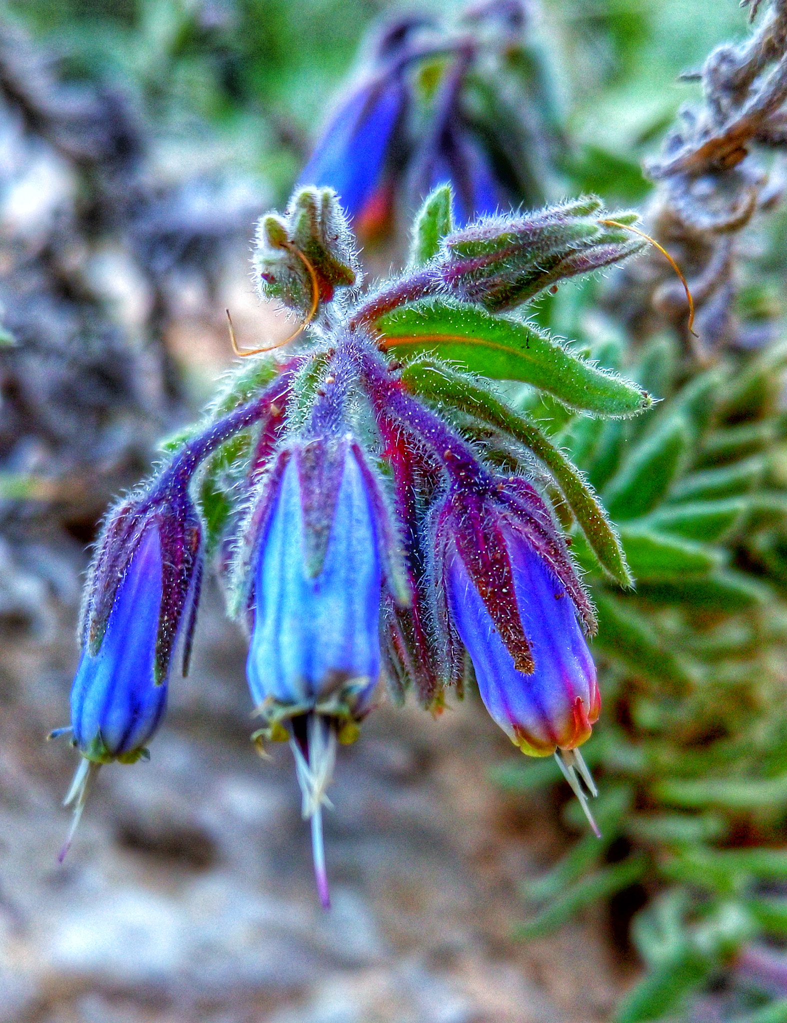 Meizu MX5 sample photo. Spring is coming photography