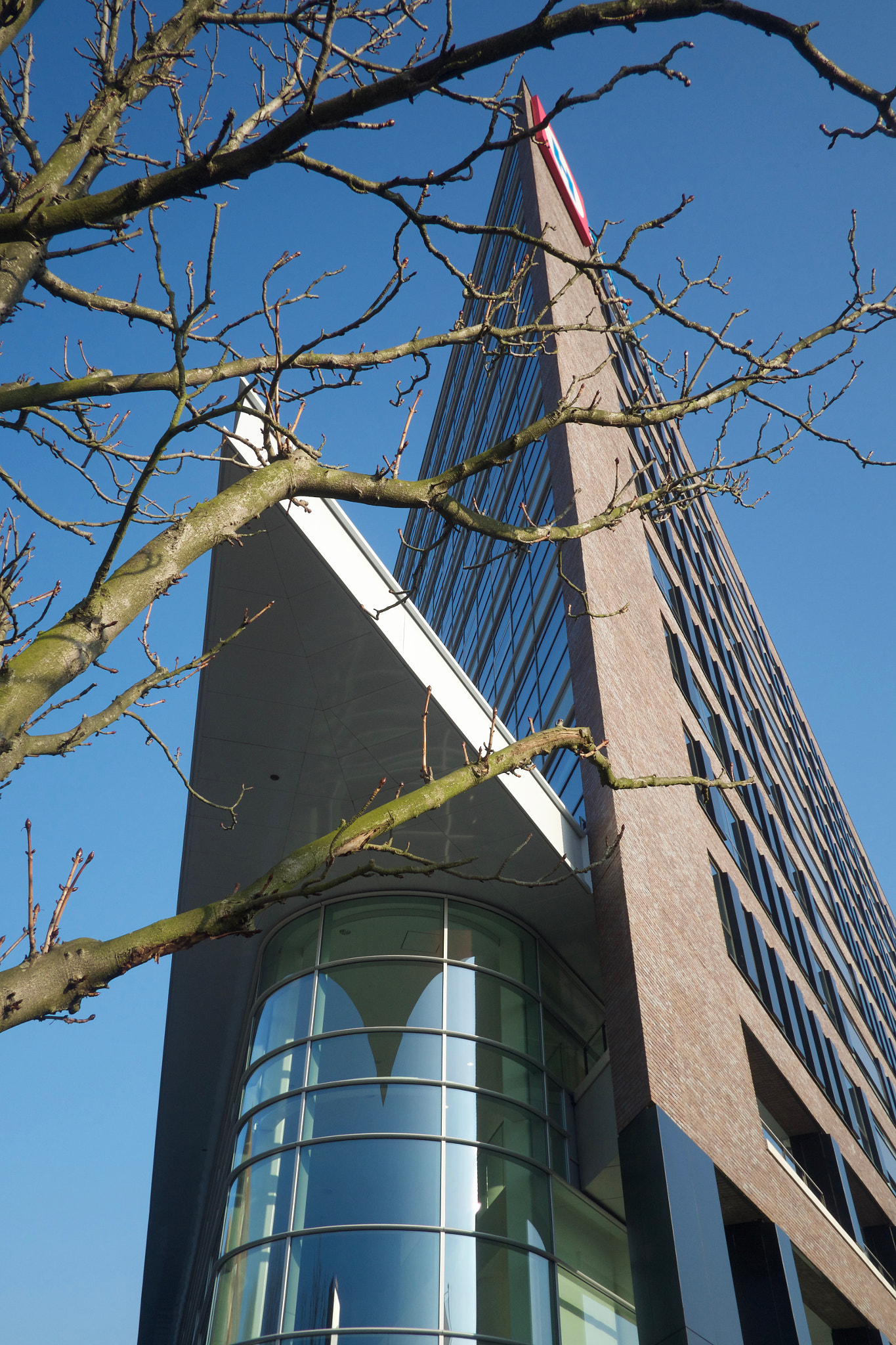 Fujifilm X-Pro1 sample photo. Tree and office photography