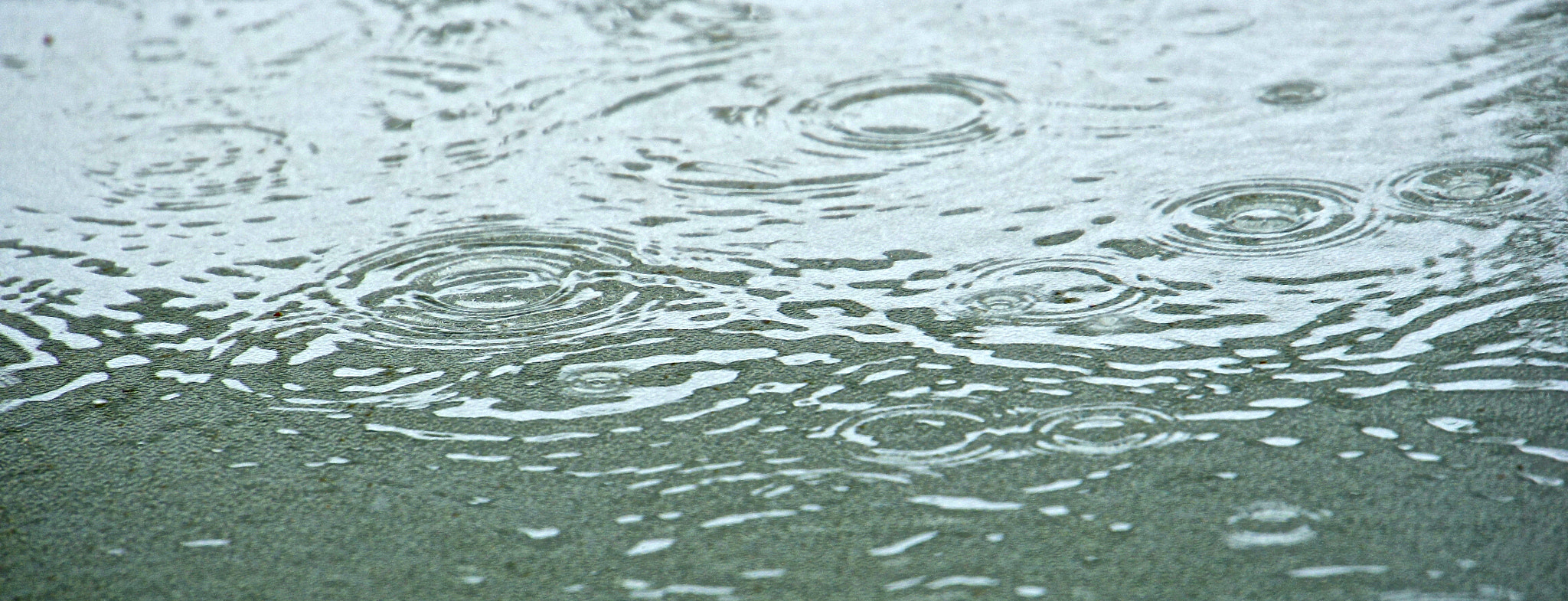 Sony E 18-200mm F3.5-6.3 OSS LE sample photo. Passing shower photography
