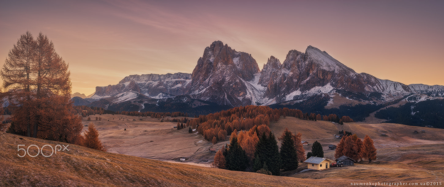 Sony a7R sample photo. Italy. dolomites. autumn morning on the plateau alpe di siusi photography