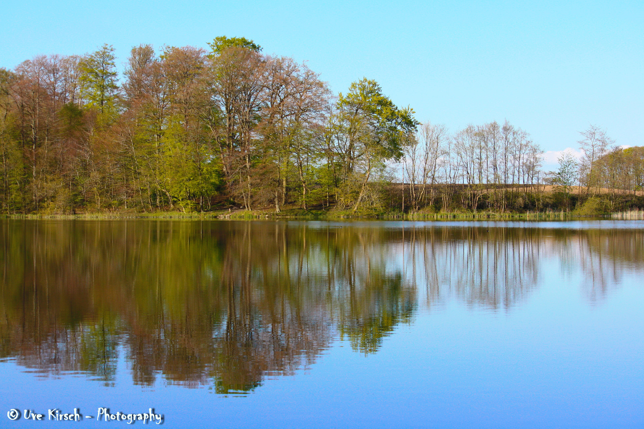 Canon EF-S 55-250mm F4-5.6 IS sample photo. Spring reflections photography