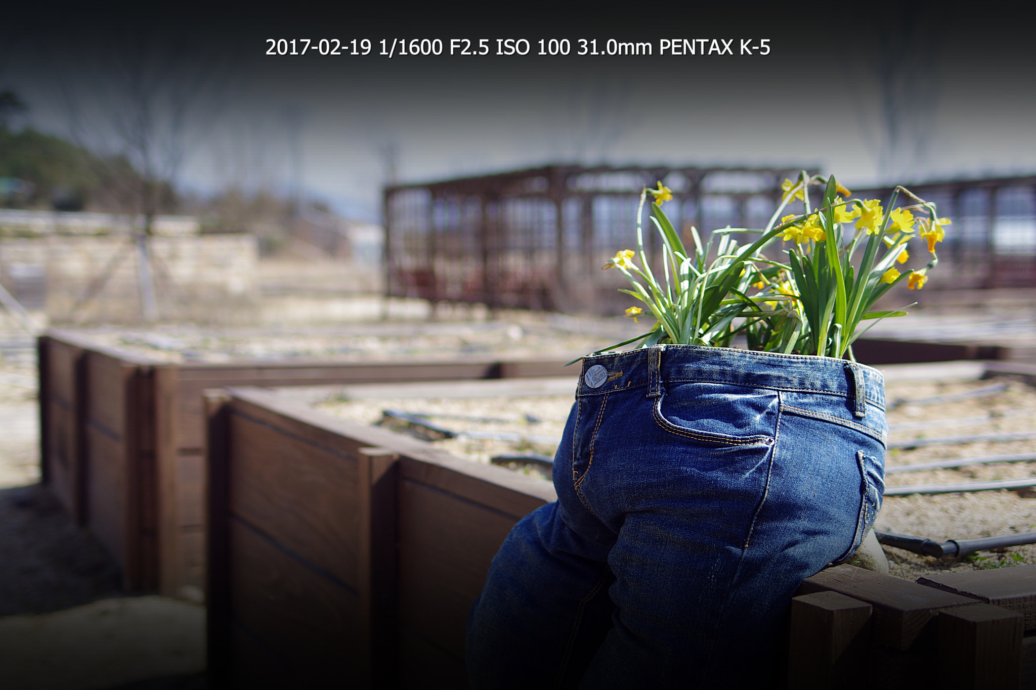 Pentax K-5 sample photo. Imgp4233-1.jpg photography
