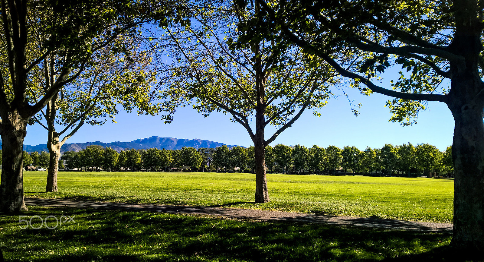 Nokia Lumia 929 sample photo. The beauty the afternoon brings photography