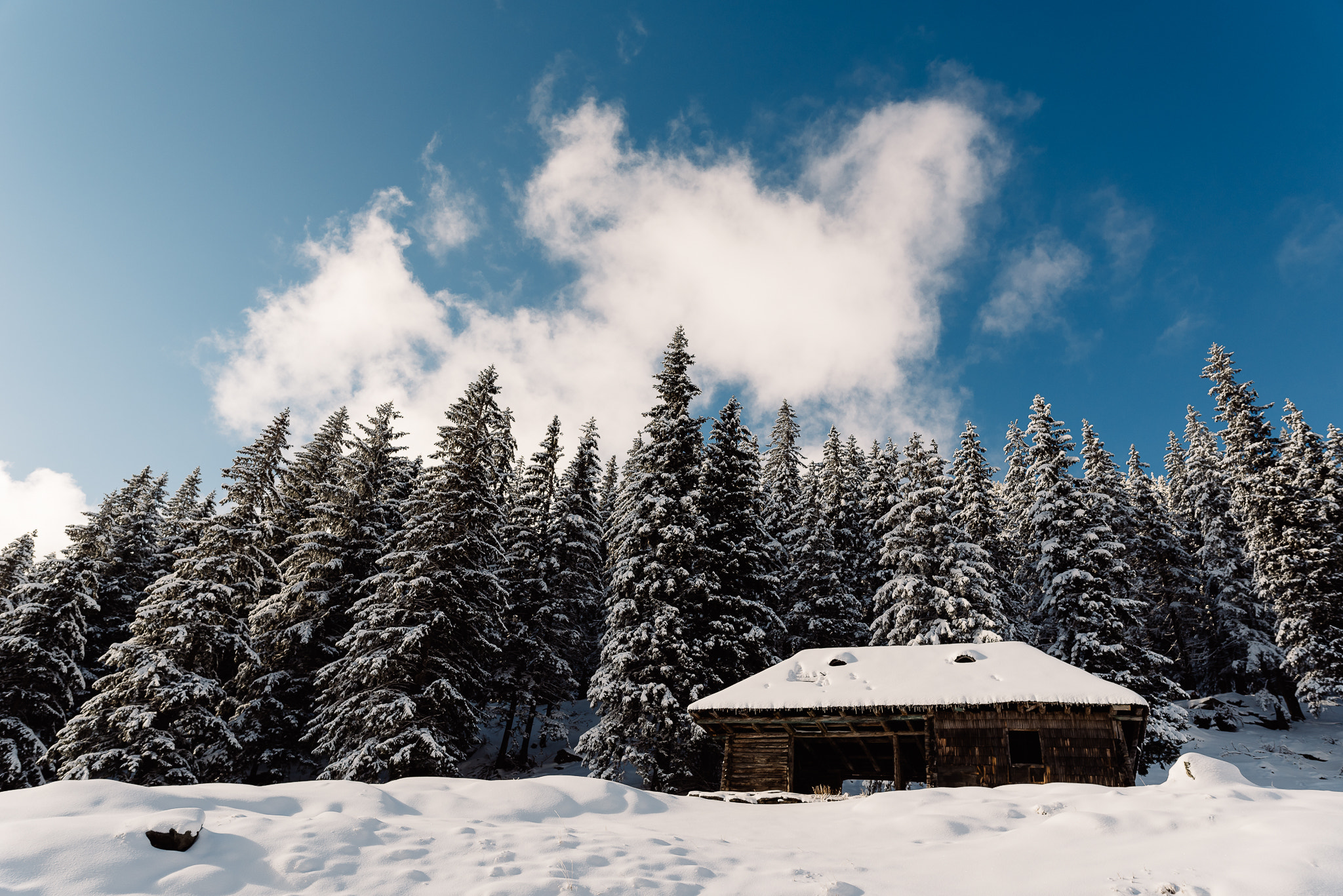 Nikon AF-S Nikkor 200-400mm F4G ED-IF VR sample photo. Mountain house in romania photography