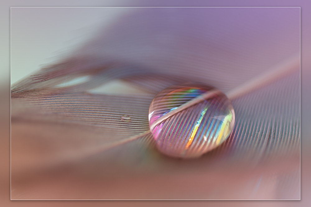 Sigma 150mm F2.8 EX DG OS Macro HSM sample photo. Drop photography