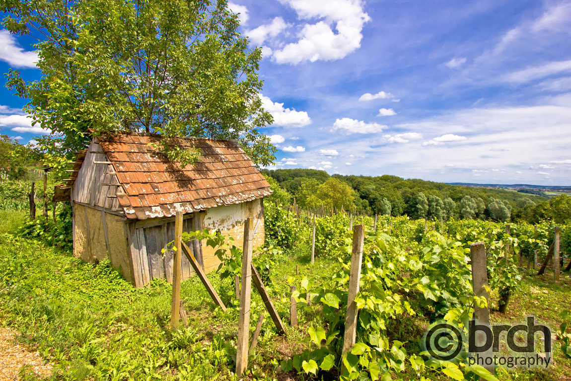 Canon EOS 550D (EOS Rebel T2i / EOS Kiss X4) sample photo. Mud cottage in hill vineyard photography