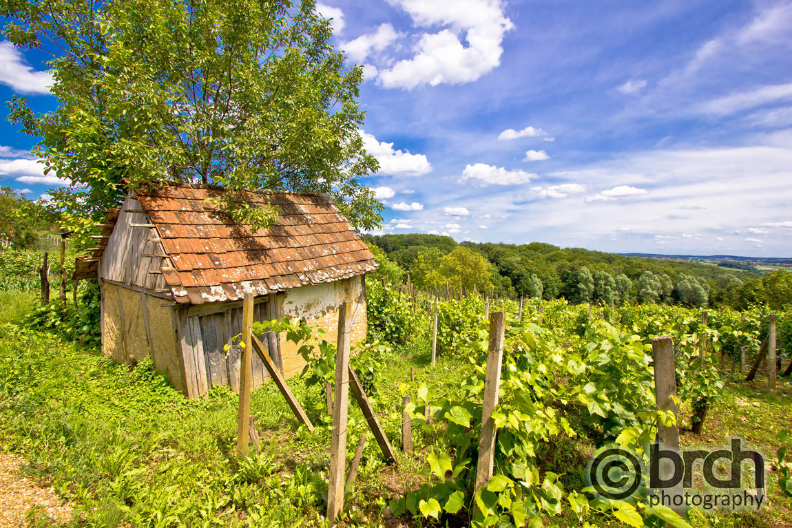 Canon EF-S 10-22mm F3.5-4.5 USM sample photo. Mud cottage in hill vineyard photography
