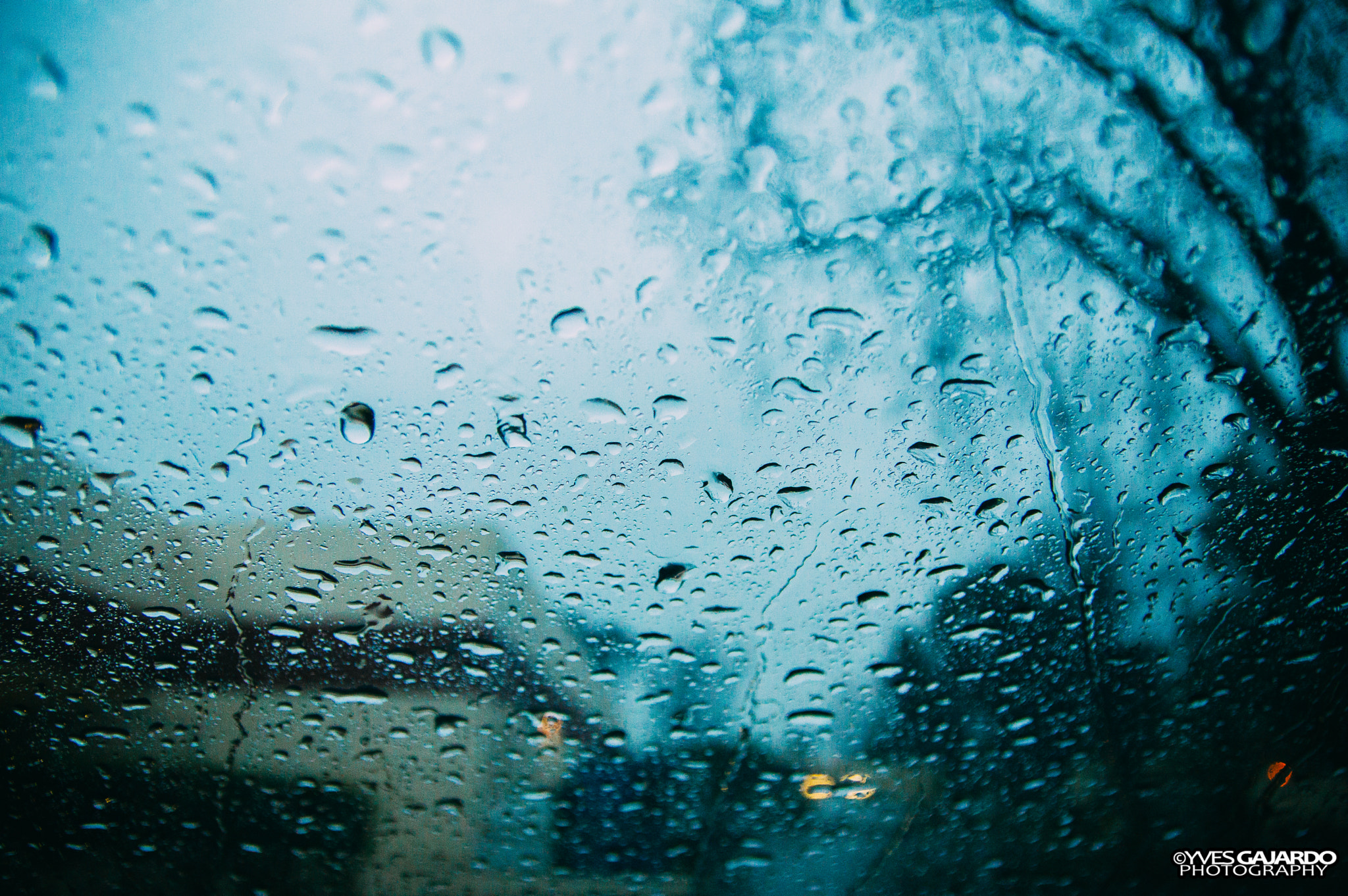 Pentax K-3 II + Sigma 17-50mm F2.8 EX DC HSM sample photo. Taken a few storms back. fitting, since today was another day of rain. photography