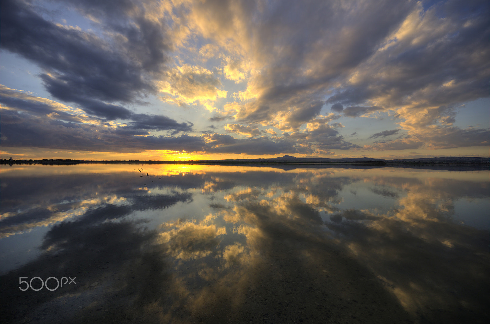 Sigma 10-20mm F4-5.6 EX DC HSM sample photo. Reflections photography