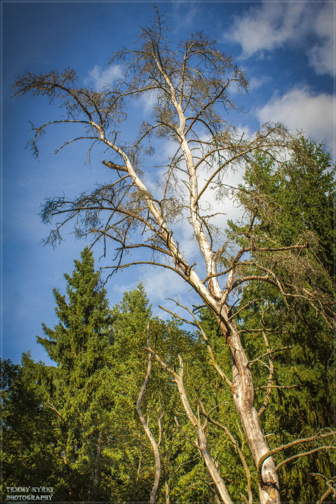 Canon EF 28mm F1.8 USM sample photo. Sky photography