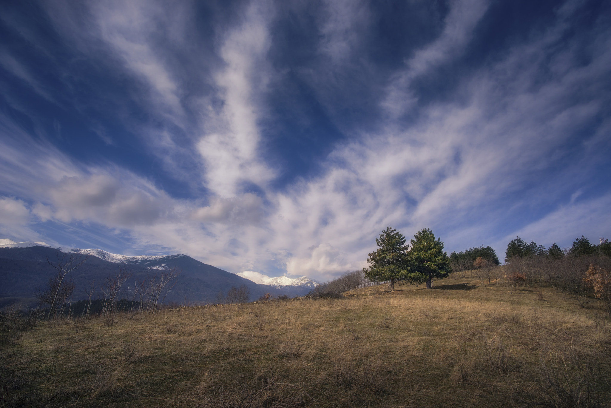 Pentax K-1 sample photo. Duo photography