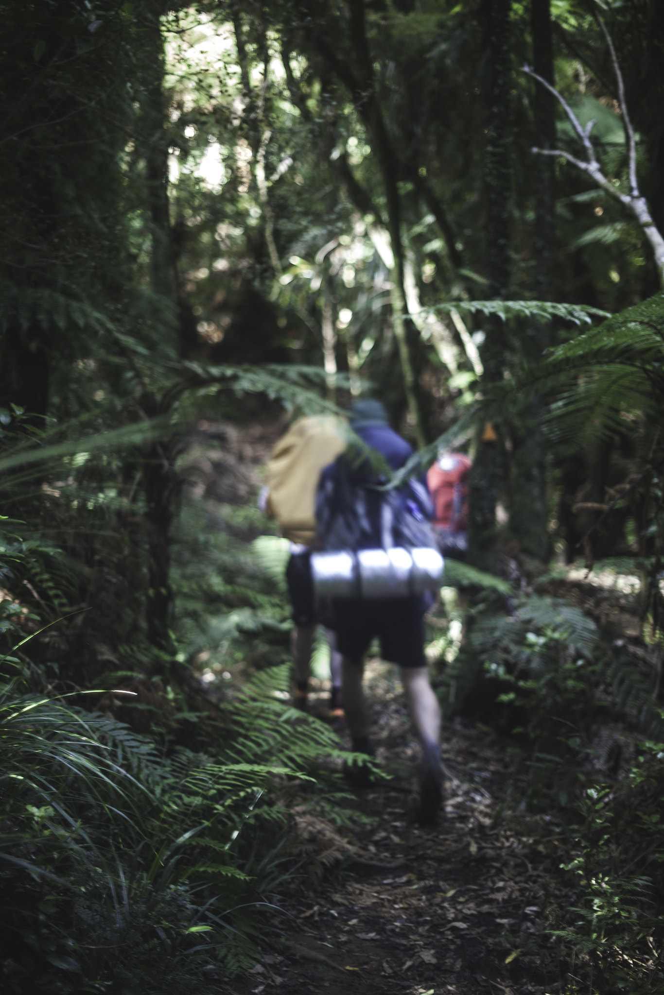 Canon EF 35-80mm f/4-5.6 sample photo. Stuck in the mud photography