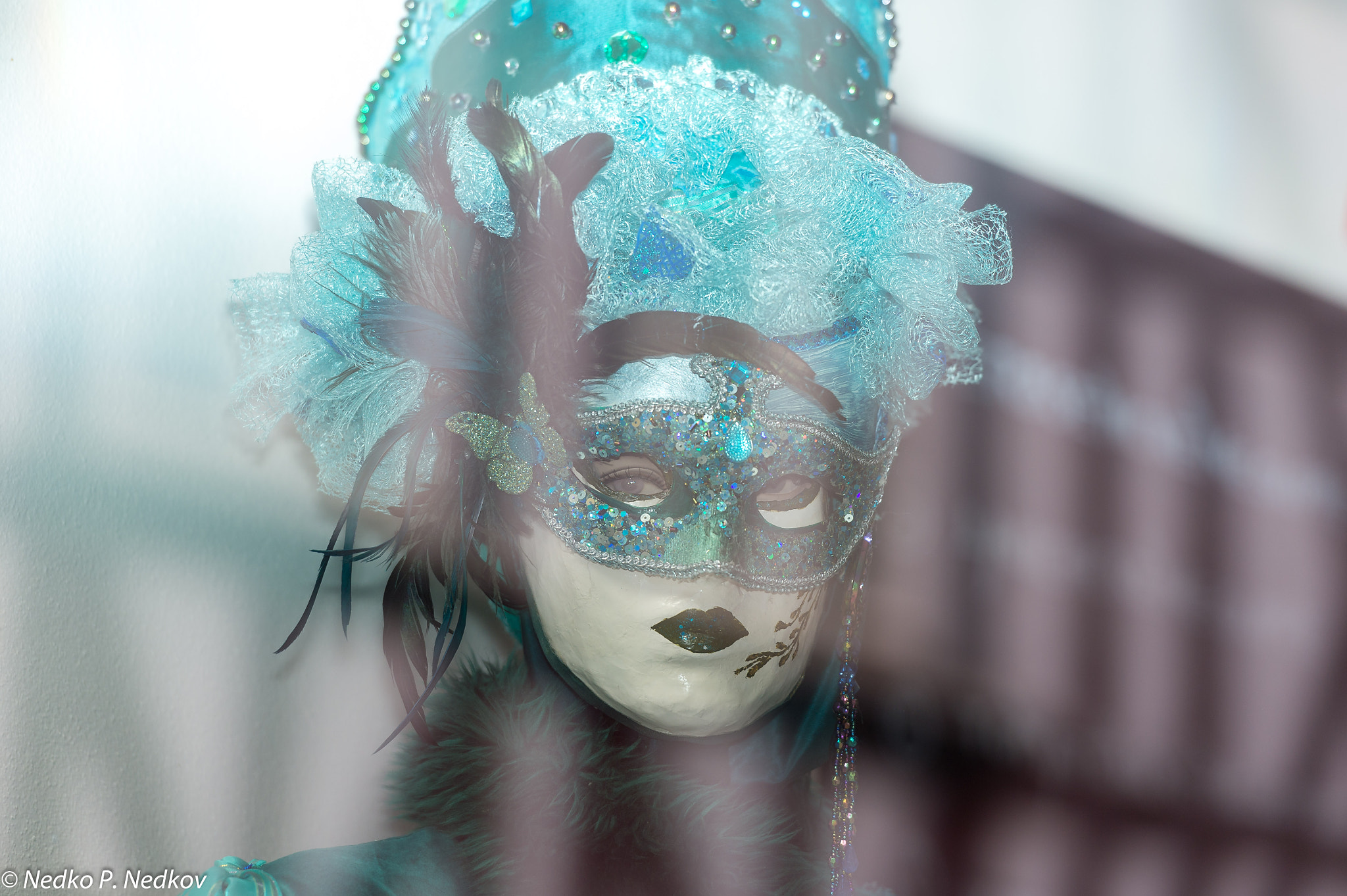 Nikon D4S sample photo. Hallia venezia photography