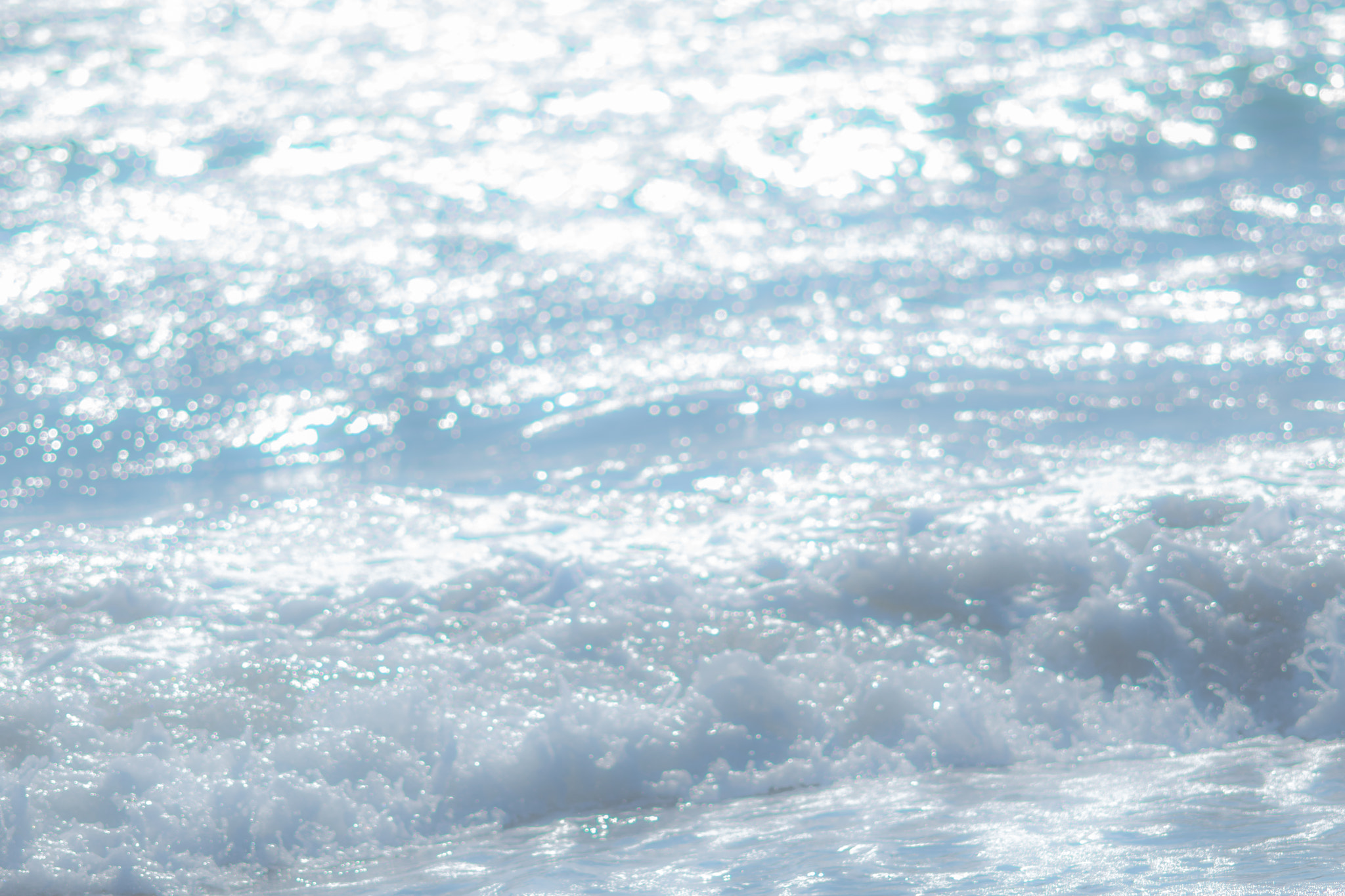 Nikon AF-S Micro-Nikkor 105mm F2.8G IF-ED VR sample photo. Monterey bay photography