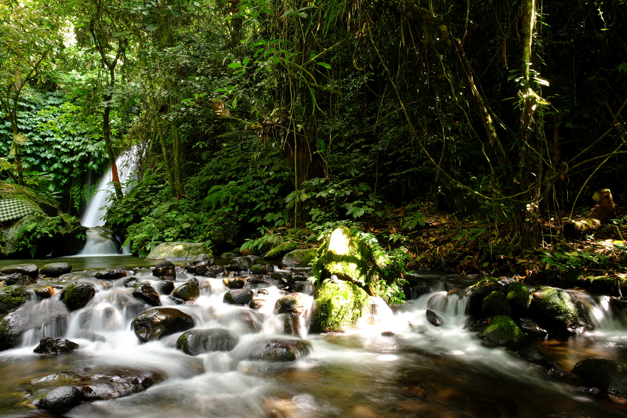 Fujifilm X-M1 sample photo. Hidden waterfall of bali, indonesia, asia photography