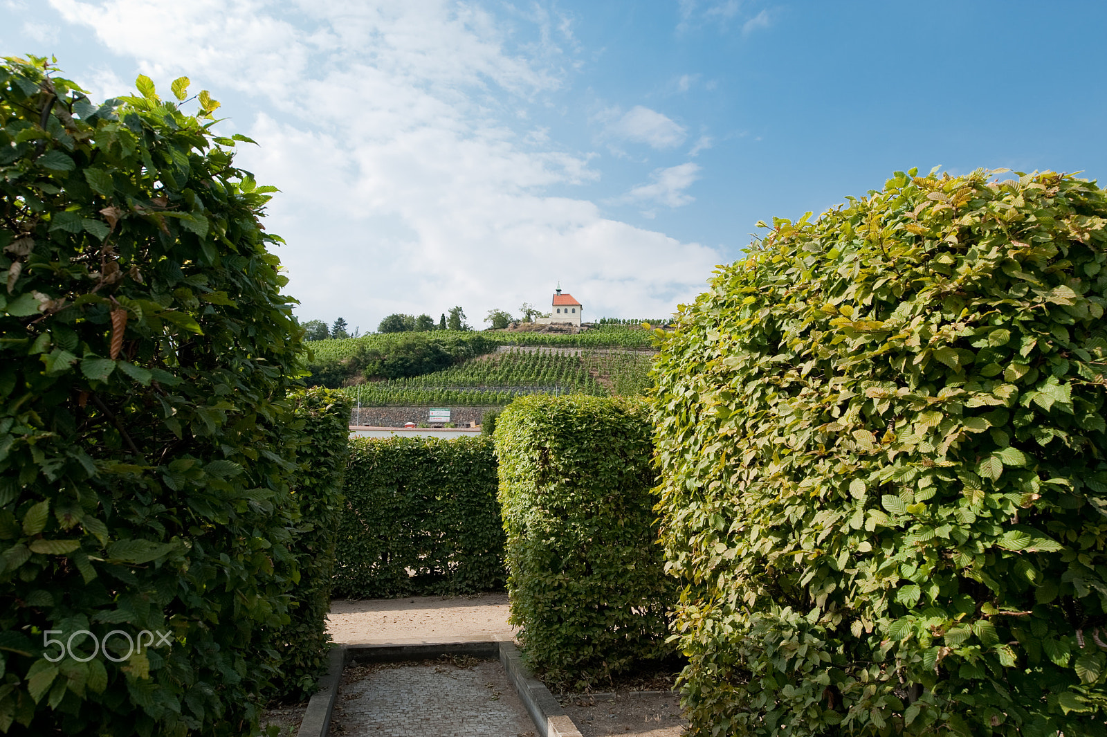 Nikon D700 + Nikon PC-E Nikkor 24mm F3.5D ED Tilt-Shift sample photo. Troja castle gardens photography